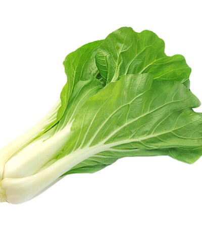 Bok Choy Holland