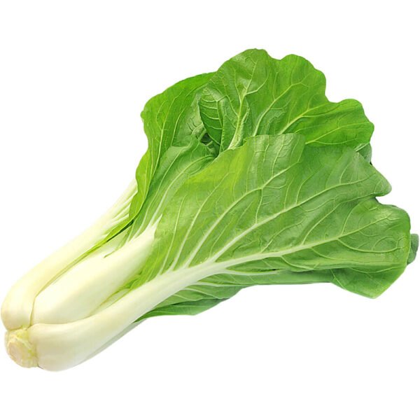 Bok Choy Holland