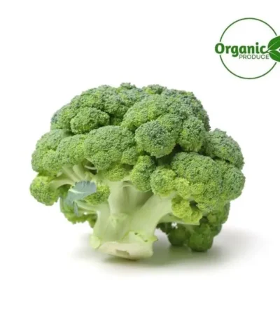 BROCCOLI FRESH