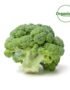 BROCCOLI FRESH