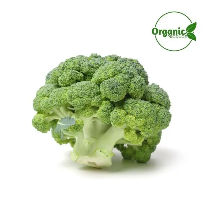 BROCCOLI FRESH
