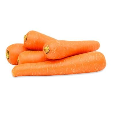 CARROT REGULAR