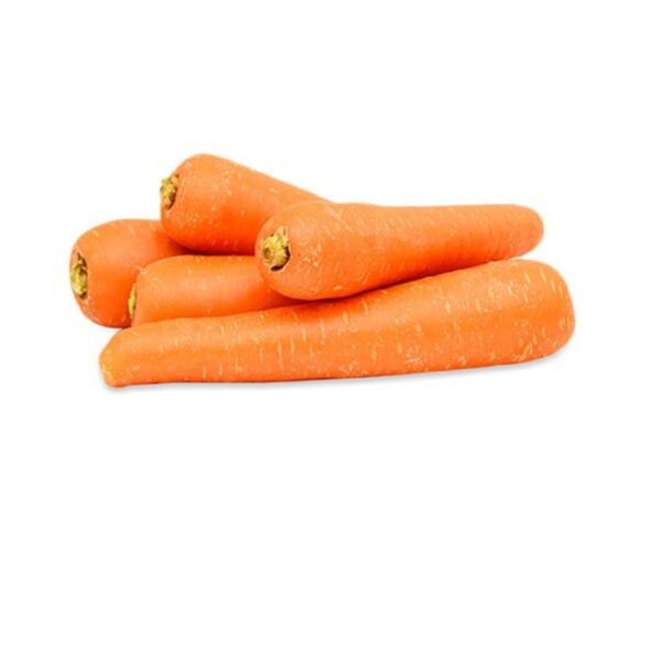 CARROT REGULAR