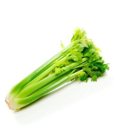 CELERY STICKS