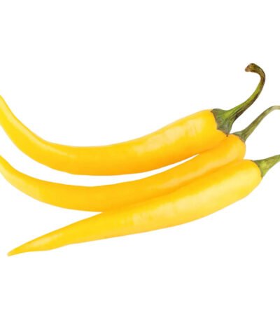 Chilli Yellow Long