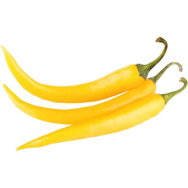 Chilli Yellow Long