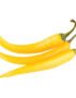 Chilli Yellow Long
