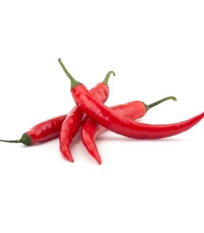 CHILLI HOT BIRD RED