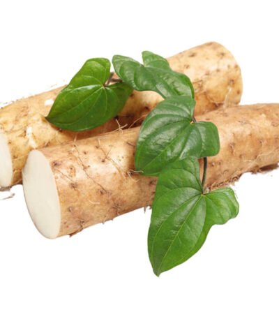 Chinese Yam