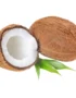 coconut dry india