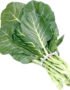 Collard Leaves | Sukuma