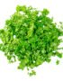 Coriander Chopped