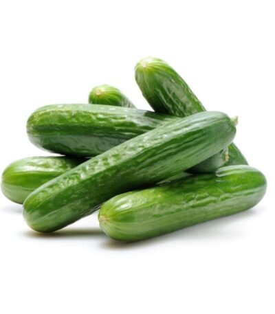 CUCUMBER LONG PP