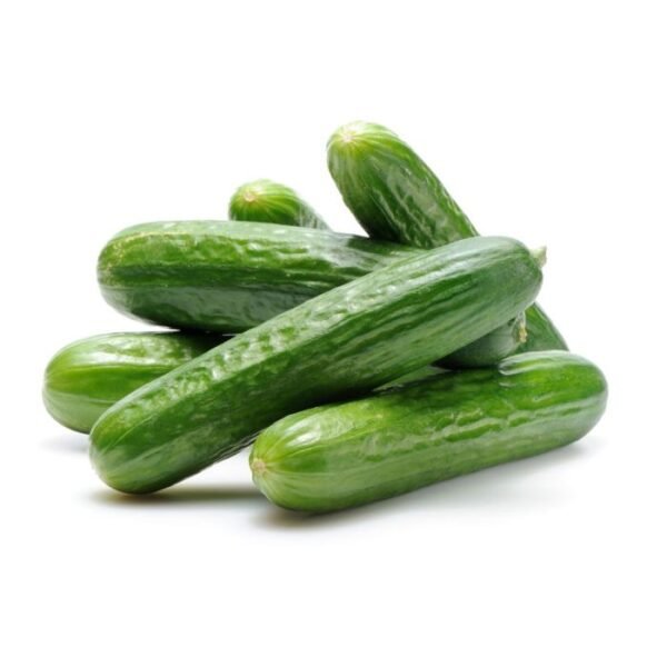 CUCUMBER LONG PP