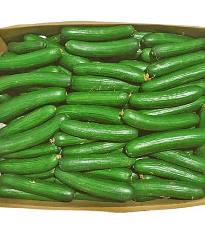 Cucumber Box