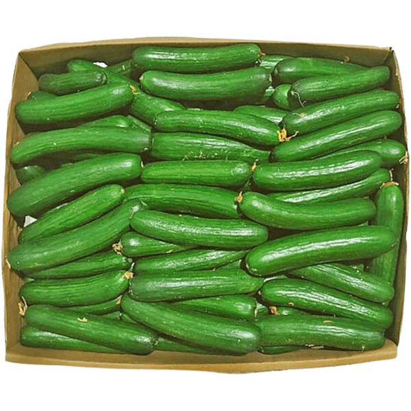 Cucumber Box