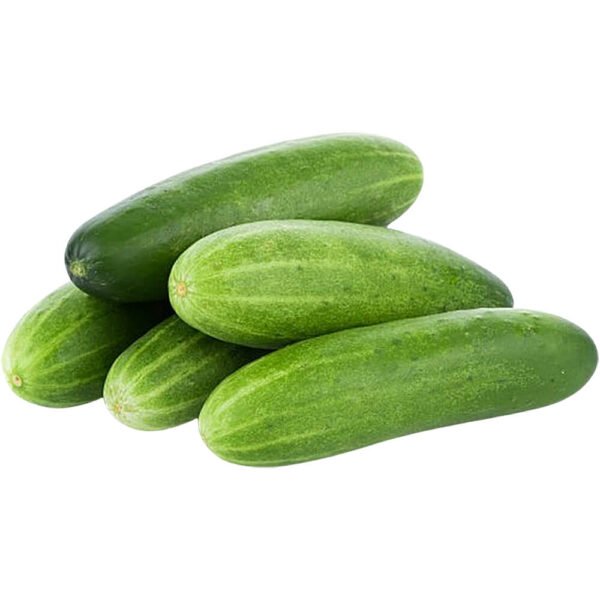 Cucumber