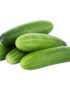 Cucumber