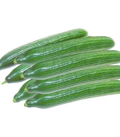 Cucumber Holland