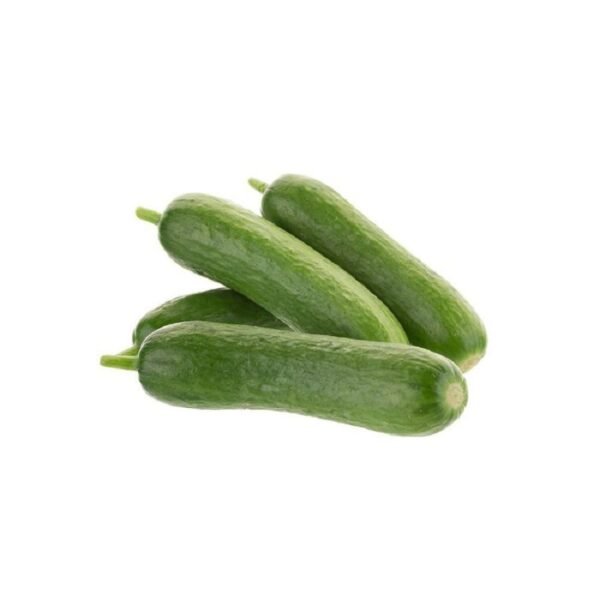 CUCUMBER