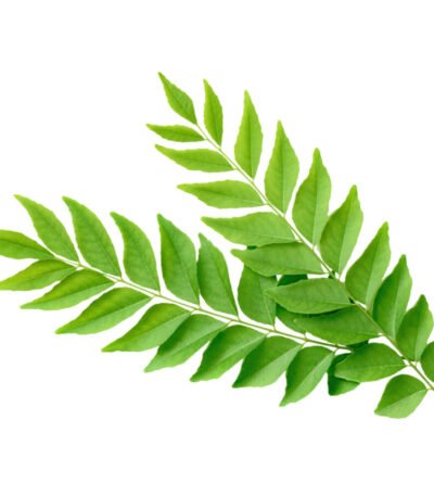 Curry Leaves