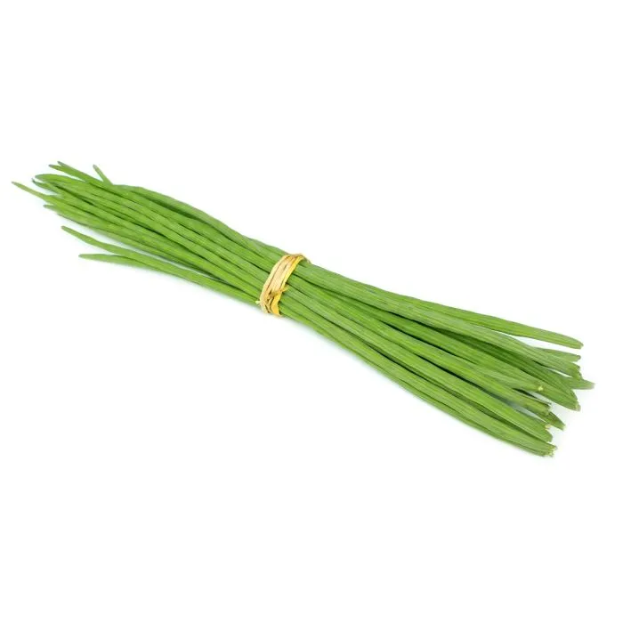 DRUMSTICK