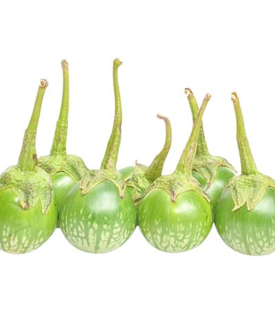 Eggplant Baby Thailand