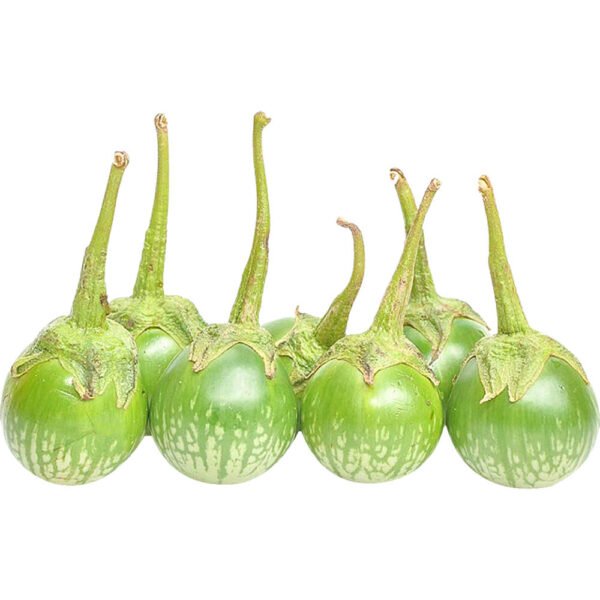 Eggplant Baby Thailand