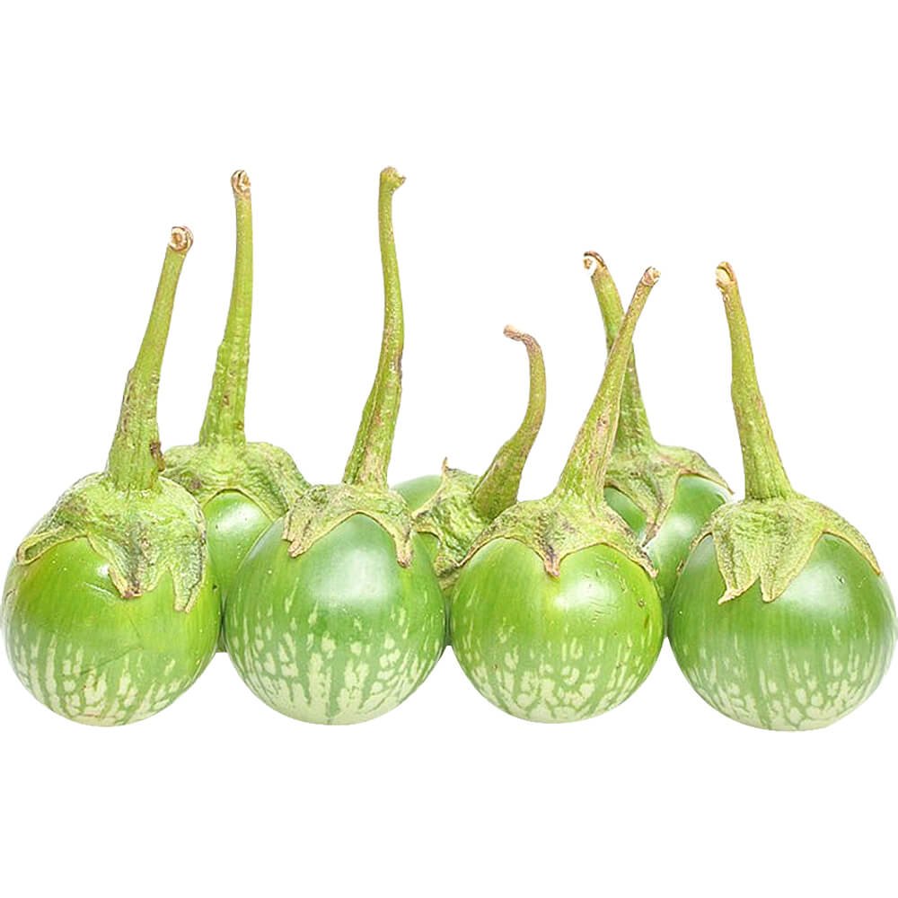 Eggplant Baby Thailand