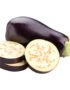 Eggplant Holland