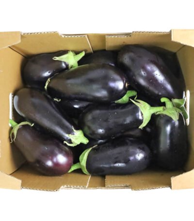Eggplant Local Box