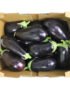 Eggplant Local Box