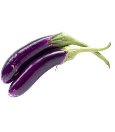 EGGPLANT LONG
