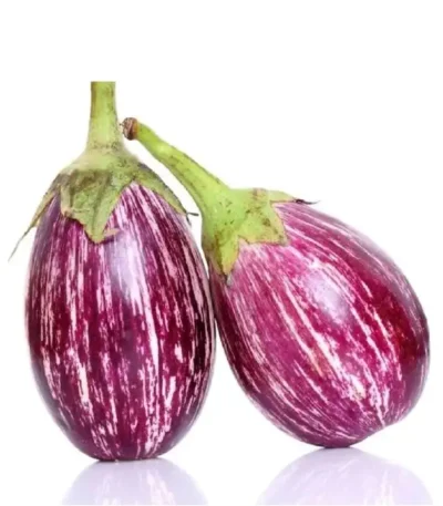 EGGPLANT BABY ROUND
