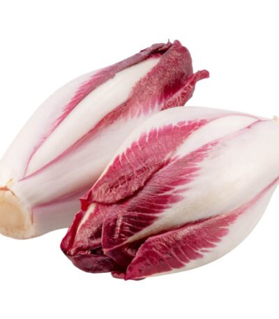 Endive Red