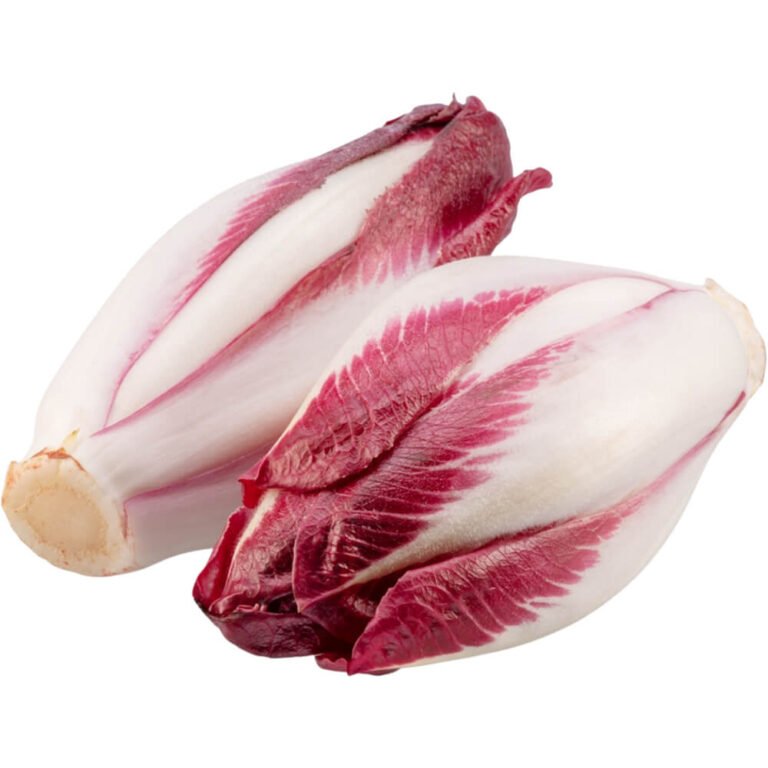 Endive Red