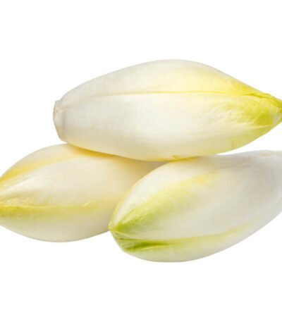 Endive White