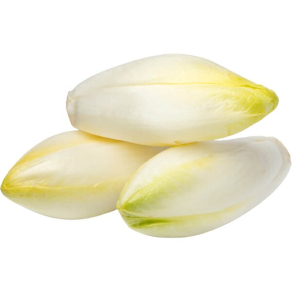 Endive White