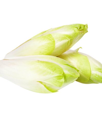 Endives White Chicory