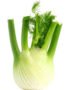 Fennel