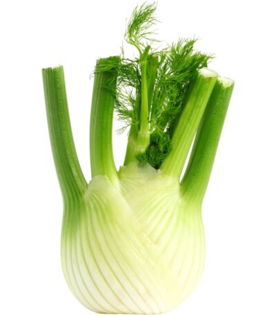 Fennel