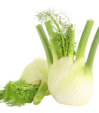 Fennel Holland
