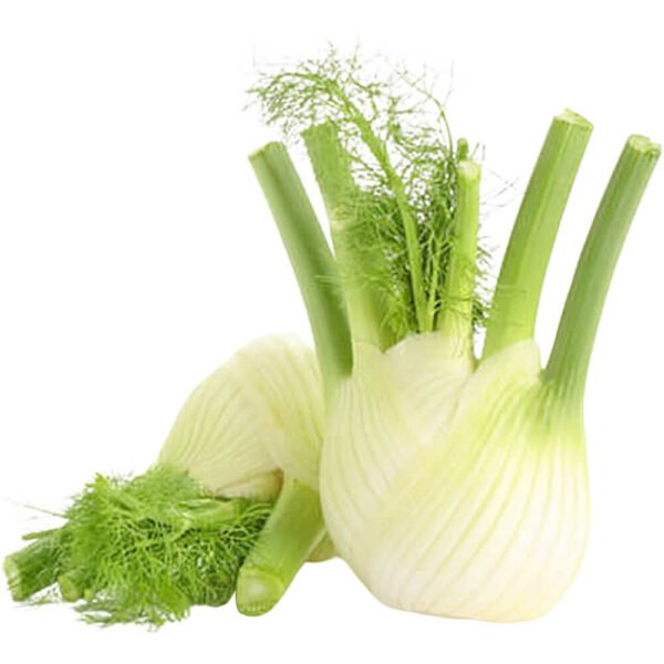 Fennel Holland