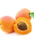 Fresh Apricot -!kg