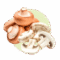 Mushrooms