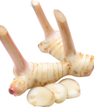 Galangal