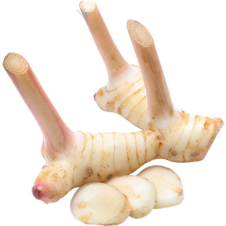 Galangal
