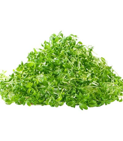 Garden Cress – Microgreen Cut