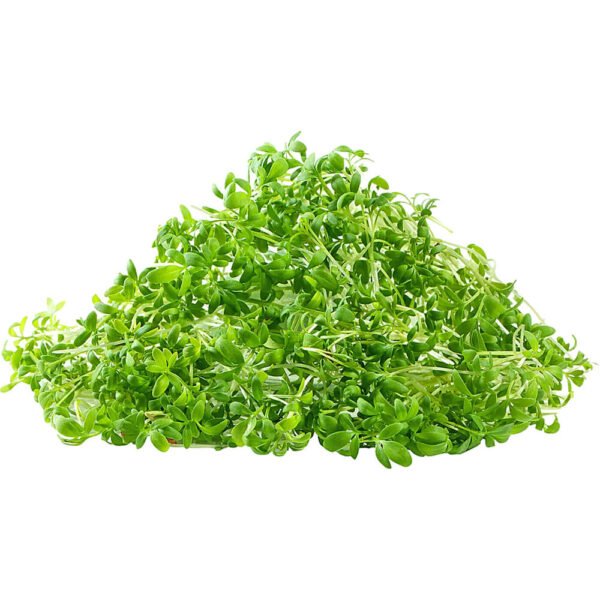 Garden Cress – Microgreen Cut