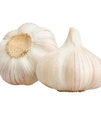 Garlic China